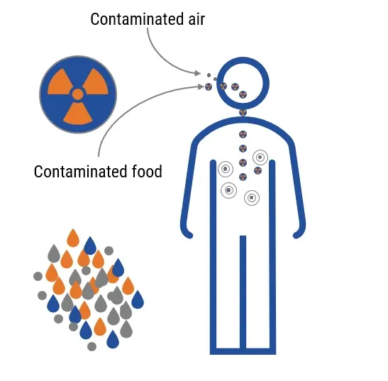 Contamination and internal exposure