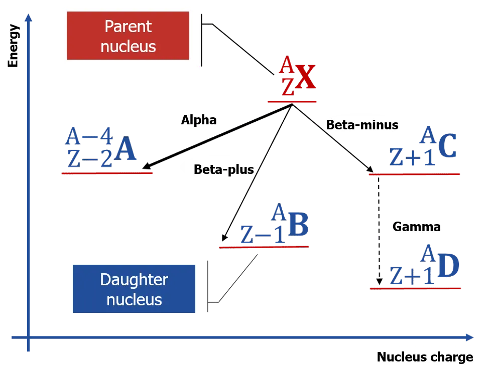 Decay Scheme